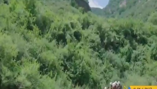 战地青春之歌 第15集