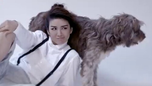 【有宠】宠爱：黄奕与爱汪的离别