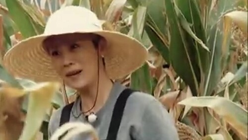 串戏串成这样不容易！海清李解上演《玉米地之恋》太魔性