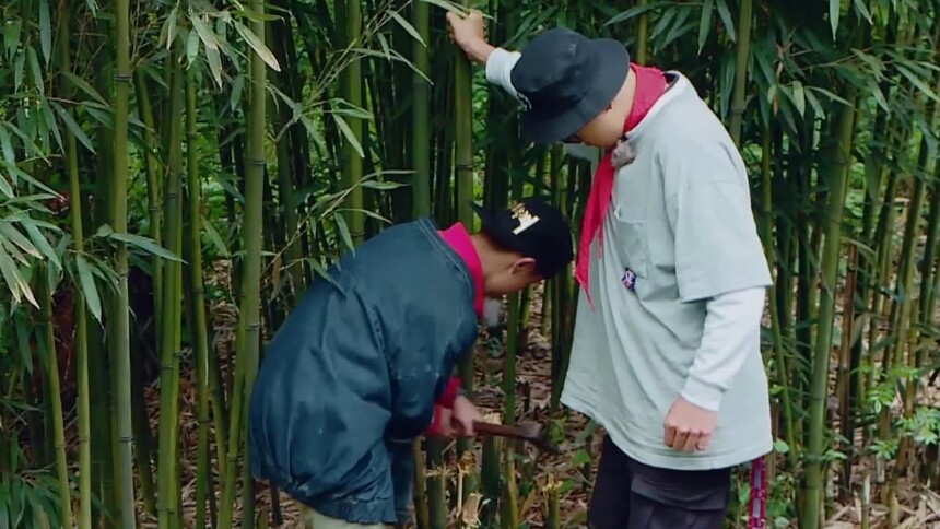 这是门技术活！马艺华康秭弋砍竹子笑死人