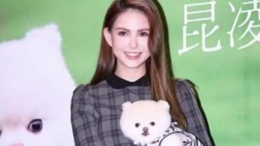 人不如狗系列！王思聪的王可可业务繁忙，周杰伦麻吉狗拍大片
