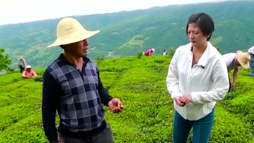 （为了人民）王婷：“花木兰”扶贫