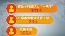 2018年上半年湖南“打虎拍蝇” 23名省管干部、390名处级干部被查