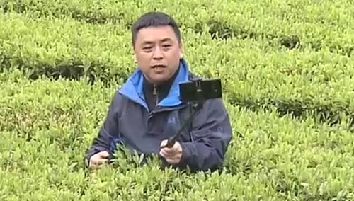 （新时代 越奋斗 越幸福）益阳安化 刘波：石头缝里种出大产业