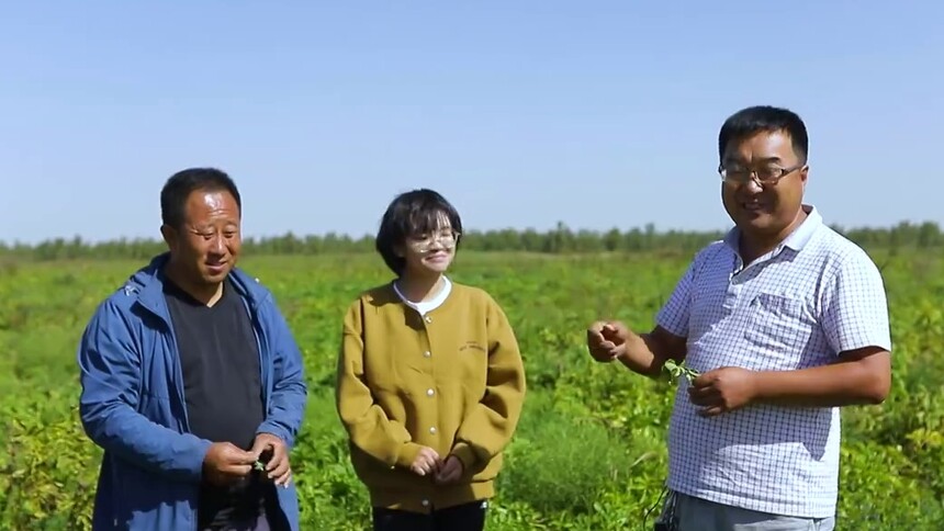 土豆也受到了感染，张立强和任悦的简易实验能成功吗