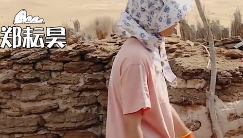 复制粘贴一顿猛操作，郑耘昊上演舒子曦式偷懒