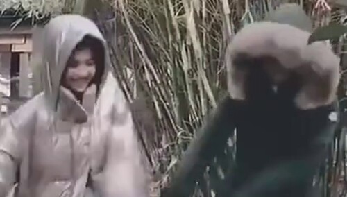 赵丽颖张慧雯斗舞！这是两个什么绝世小憨憨，为啥跳出了一种六亲不认的步伐？
