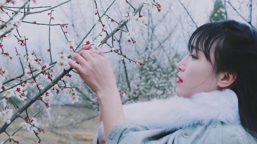 【李子柒】寒梅花开，来一碗梅花鸽子汤补补元气！