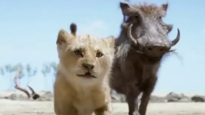 真人版《狮子王》强势来袭，被小辛巴圈粉的，请举起爪子