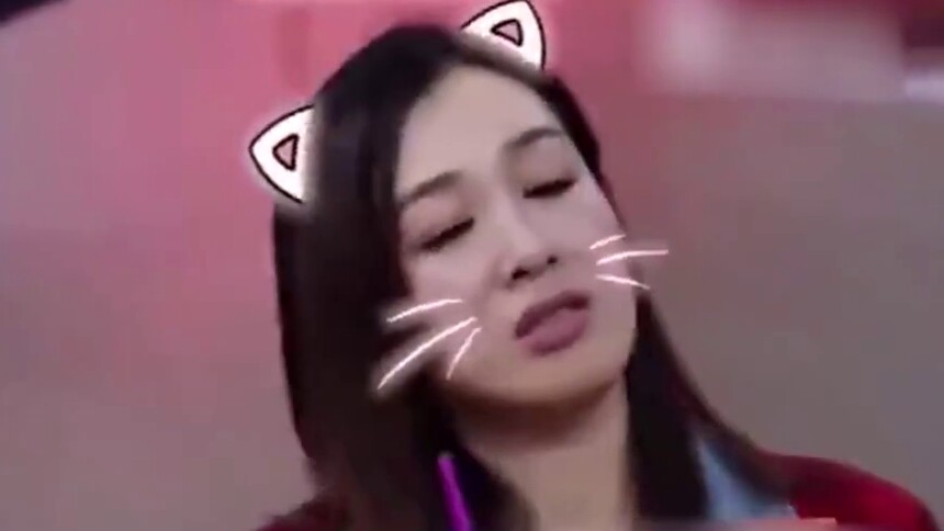 “猫咪式”撒娇钟丽缇：乖巧道歉瞬间融化张伦硕！