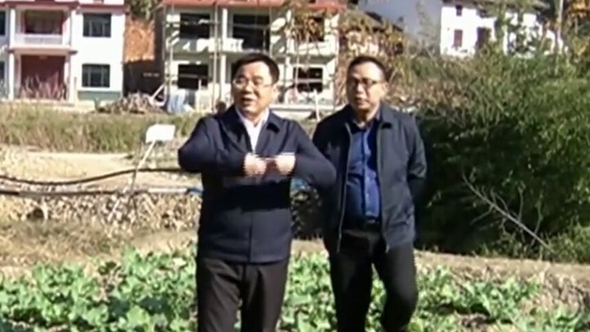 株洲：追忆黄诗燕（二） 广种黄桃 致富万家