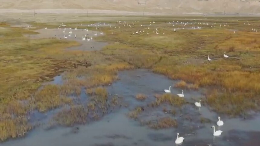 云游·大美新疆：巴音布鲁克