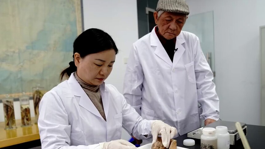 陈亚瞿：八旬教授坚持长江口生态修复