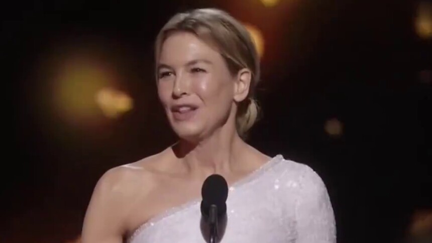 【IF时尚】第92届奥斯卡金像奖最佳女主角：蕾妮·齐薇格