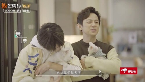 千玺试图亲猫失败 何老师给点点和苔取名啦