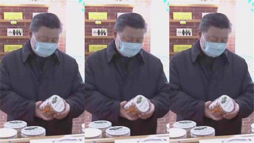“小木耳，大产业”，习近平点赞柞水木耳