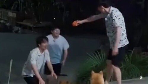 《向往的生活》人狗追球大战又开始了！郭麒麟彭昱畅和小H小o比赛，大林子太逗了