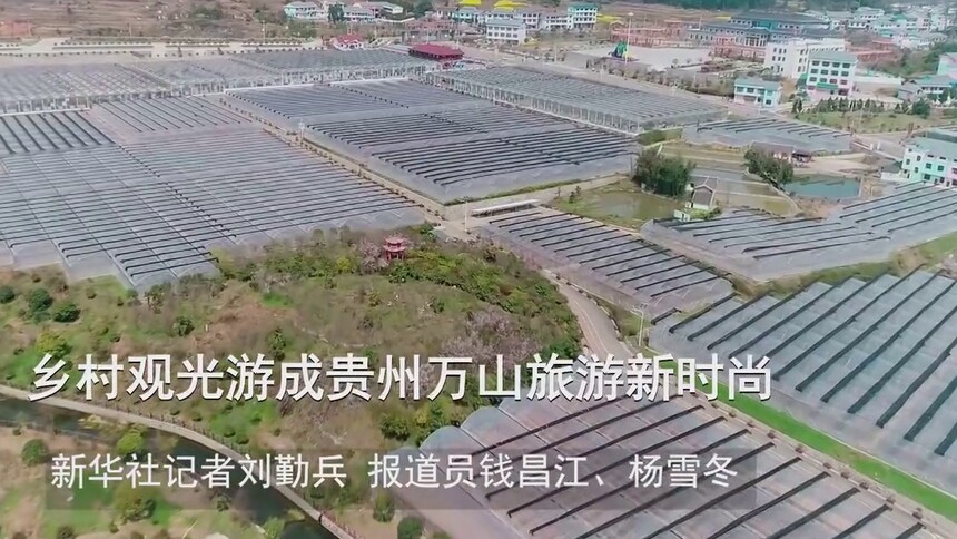 乡村观光游成贵州万山旅游新时尚