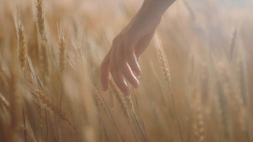 谭松韵《我在》MV