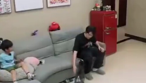 王一博记忆混乱之记不住狗狗的名字，像极了你记马冬梅的样子