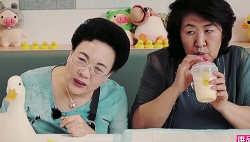 伊能静钟丽缇婆婆过“六一”  贾慧芬为鸭子强点鸳鸯谱