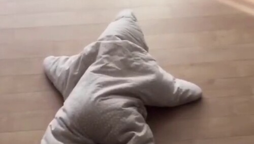 派大星？萌宝？傻傻分不清楚