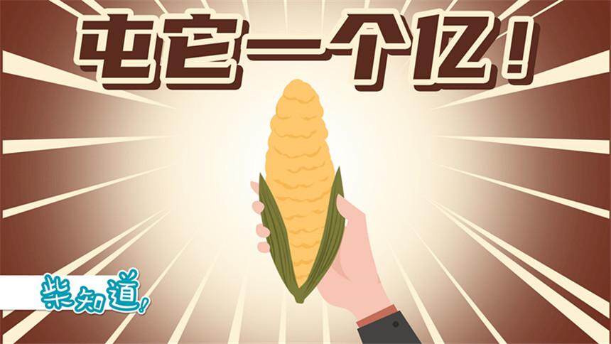 【柴知道】如何为14亿人储备粮食