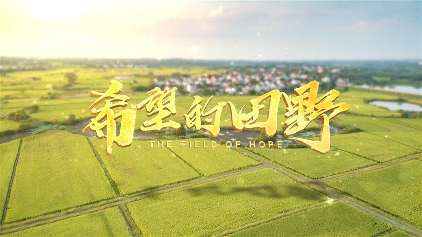 微视频《希望的田野》