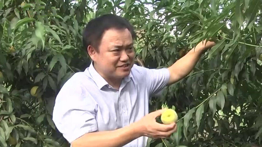 麻阳 脱贫攻坚群英谱——脱贫攻坚干部考察调研 张强：瞄准产业来扶贫 精准摘掉“穷帽子”