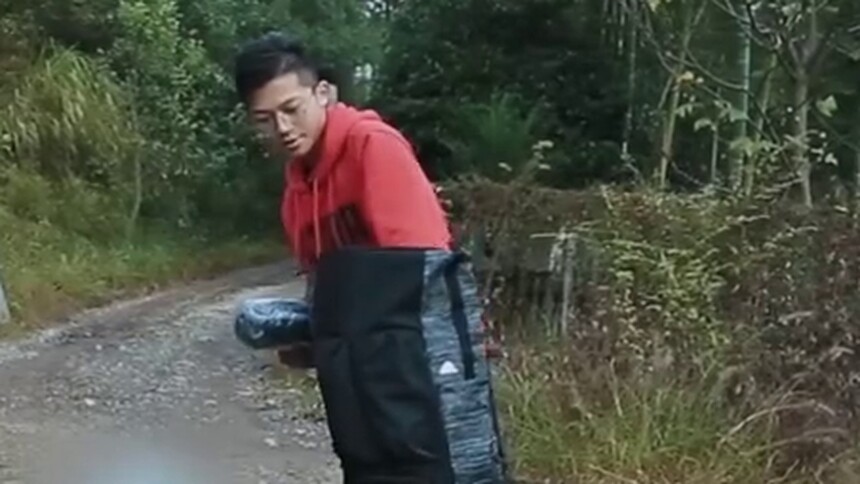 确认过眼神，你们是可以接收李嘉宝零食的人