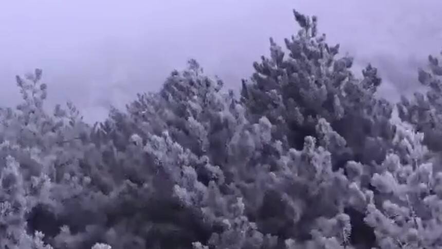 银装素裹 北京延庆现雾凇美景