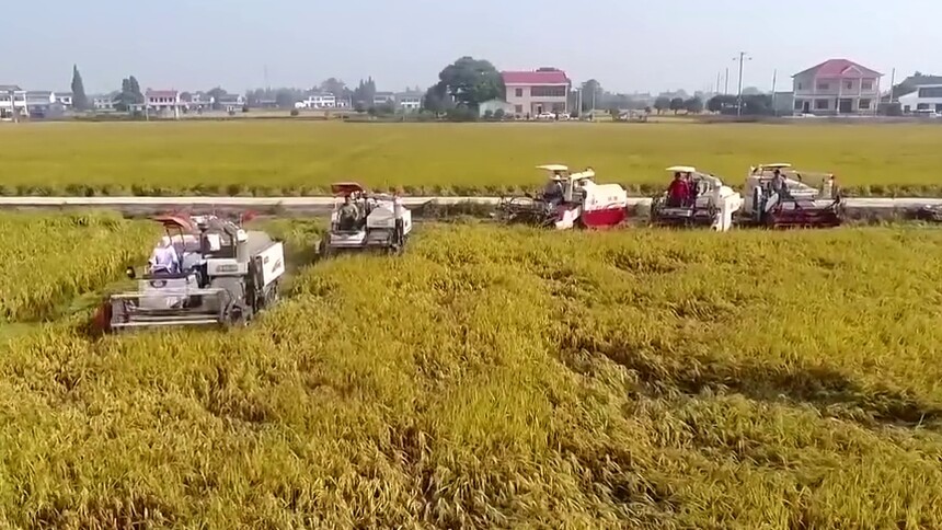 探馆博鳌经安论坛 粮食安全分论坛 专家共话种业振兴路