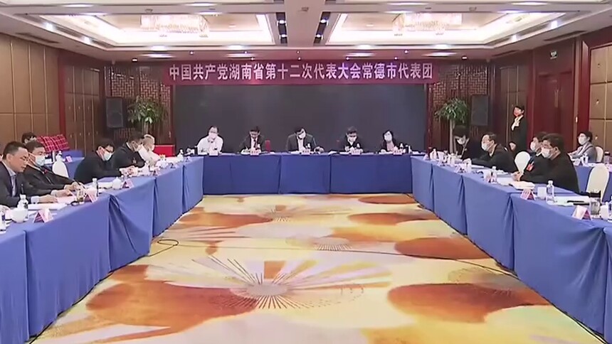 魏建锋、贺安杰参加常德代表团讨论