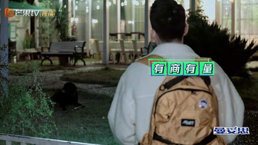 庞博进门搜证和狗狗打招呼！ 礼貌找线索展现好品质！