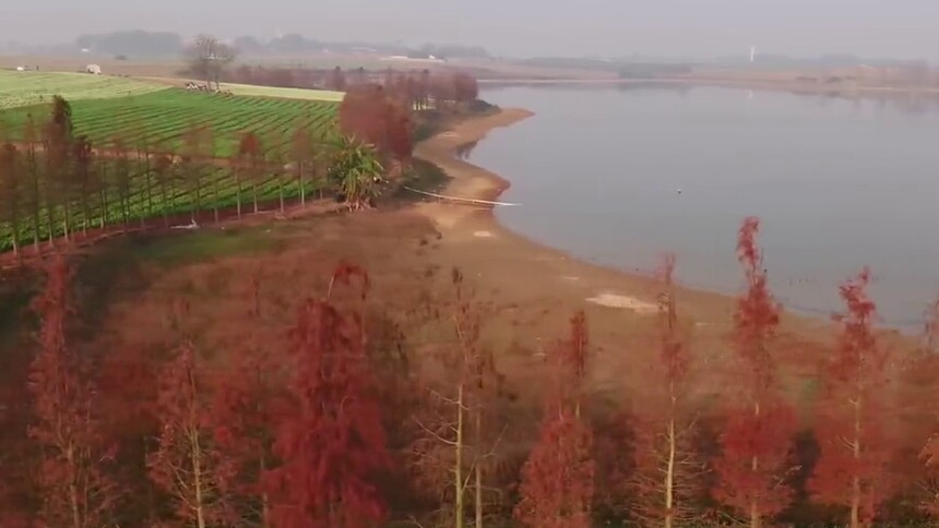 西津国家湿地公园生态美