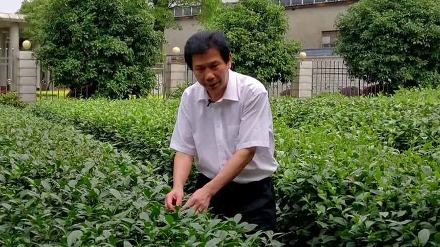 大战大考中的委员答卷 李云才：脚沾泥土香 心系“三农”履职建言