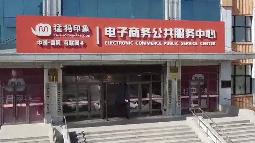 黑龙江青冈：电商助销农产品 小城焕发新活力