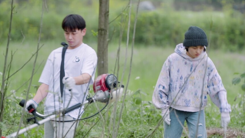 向往的生活5 慢直播第5期：彭彭子枫发动除草技能 何老师满脸好奇认真观摩