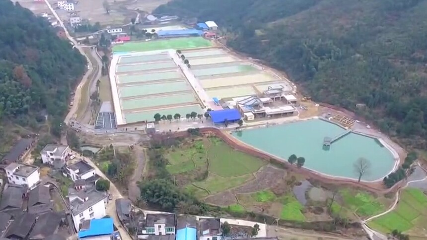 刘少军院士团队武冈基地首批鱼苗培育成功