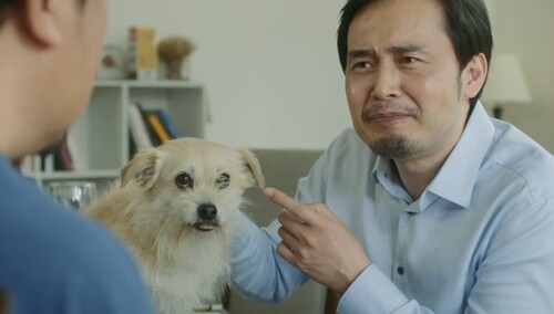 《狗果定理》终极预告 于谦贾冰玩梗不断笑点满满