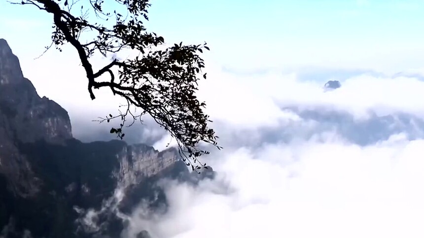 张家界：秋日云海波澜壮阔