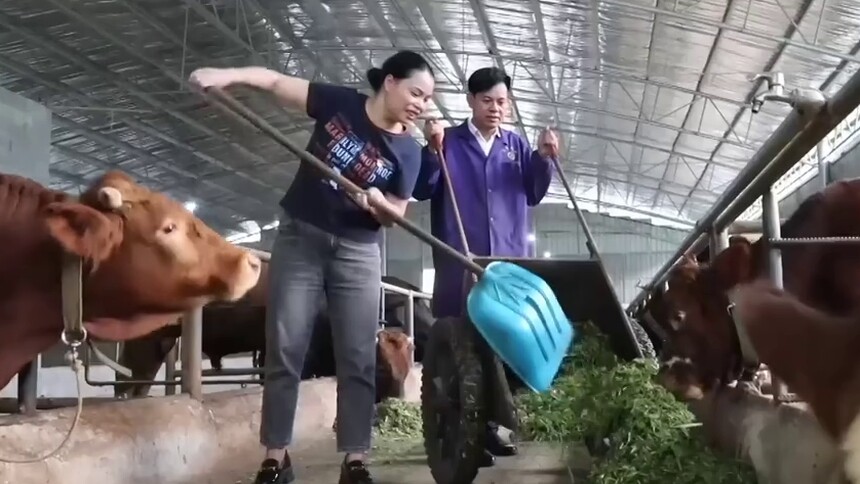 向着幸福｜潘晓梅：山村“女当家” 芳华为百姓