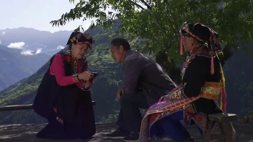二十大代表风采｜陈望慧：“种下”玫瑰产业带富千万家