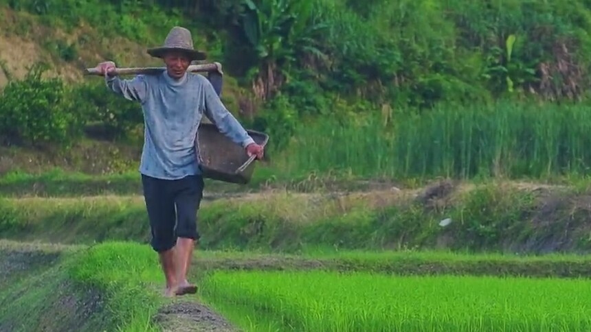 张谷英村—看见古典中国 芒种篇