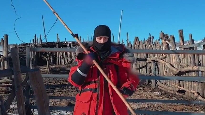 自在如风！吴磊雪原牧马获老师称赞