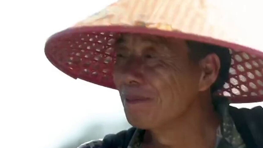 【快乐看】祁东四宝之槟榔芋