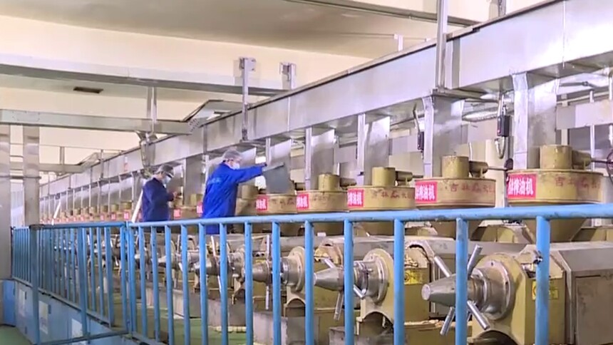 大豆变“金豆”