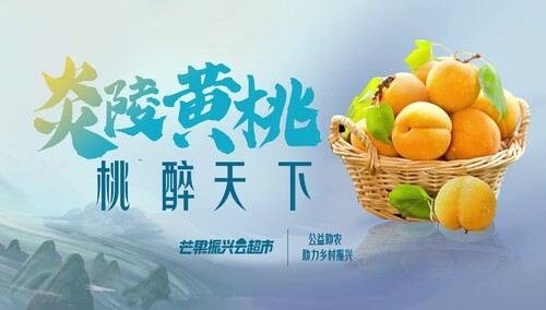 乘风破浪的姐姐品味炎陵黄桃：“果”然有味 “桃”醉一夏