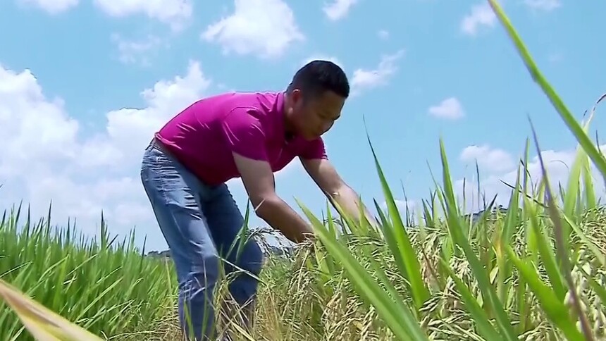 新时代“老兵新传” 刘波：勇当乡村振兴“排头兵”