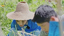 王子文做任务反射弧好长！挑战不可能菜地抓虫子